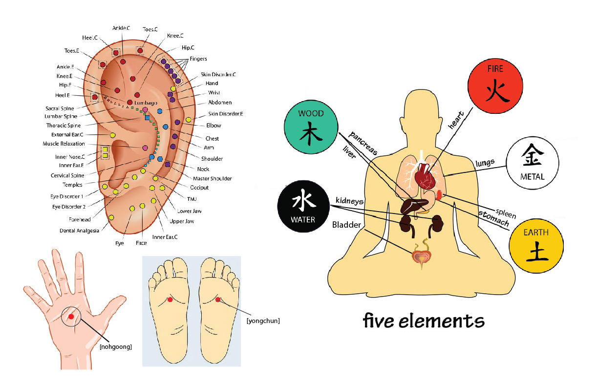 Five Element Of Body