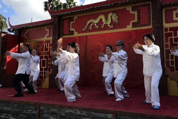 Tai Chi Qi gong Taekwondo class in San Diego