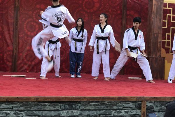 Tai Chi Qi gong Taekwondo class in San Diego