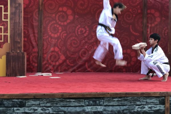 Taekwondo class in San diego
