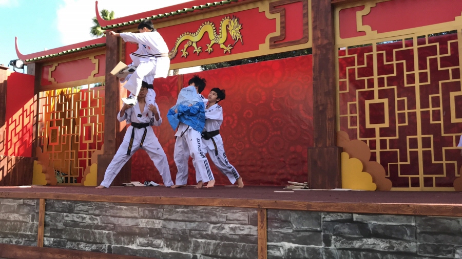 Taekwondo class in San diego