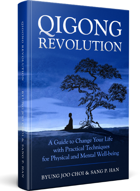 Qigong Revolution book cover